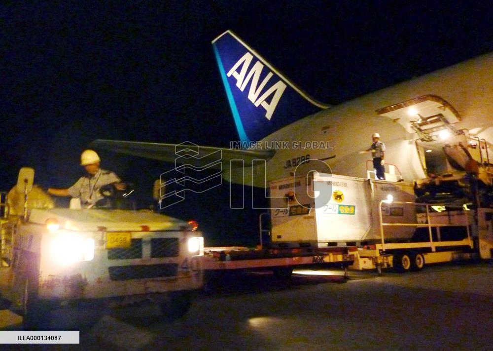 Cargo jet in Japan