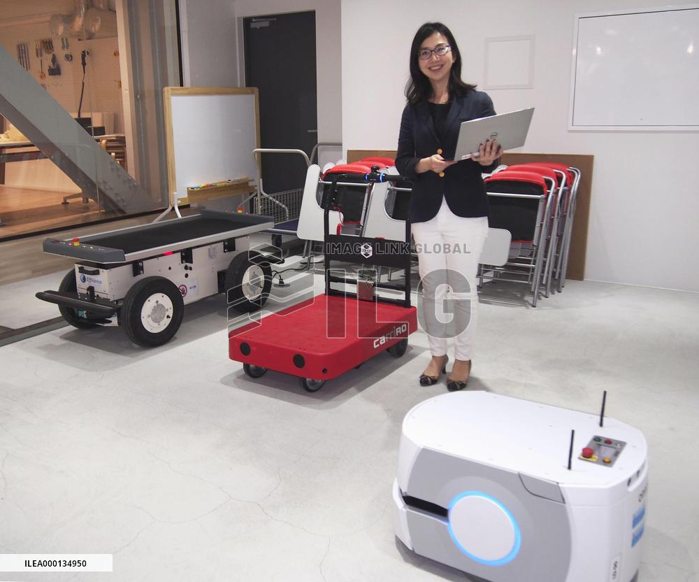 Robot for carrying items