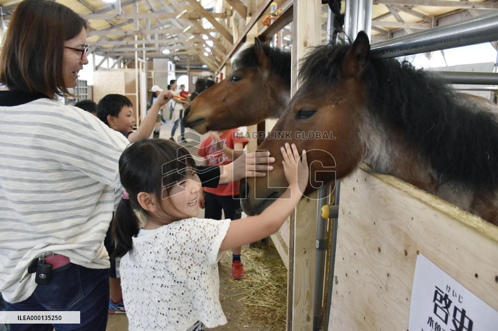Farmer strives to preserve indigenous Japanese horses