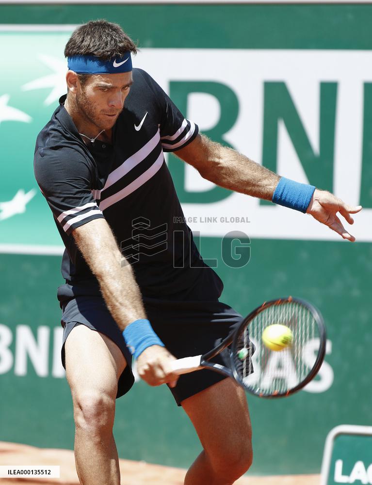 Tennis: Del Potro reaches French Open semifinals