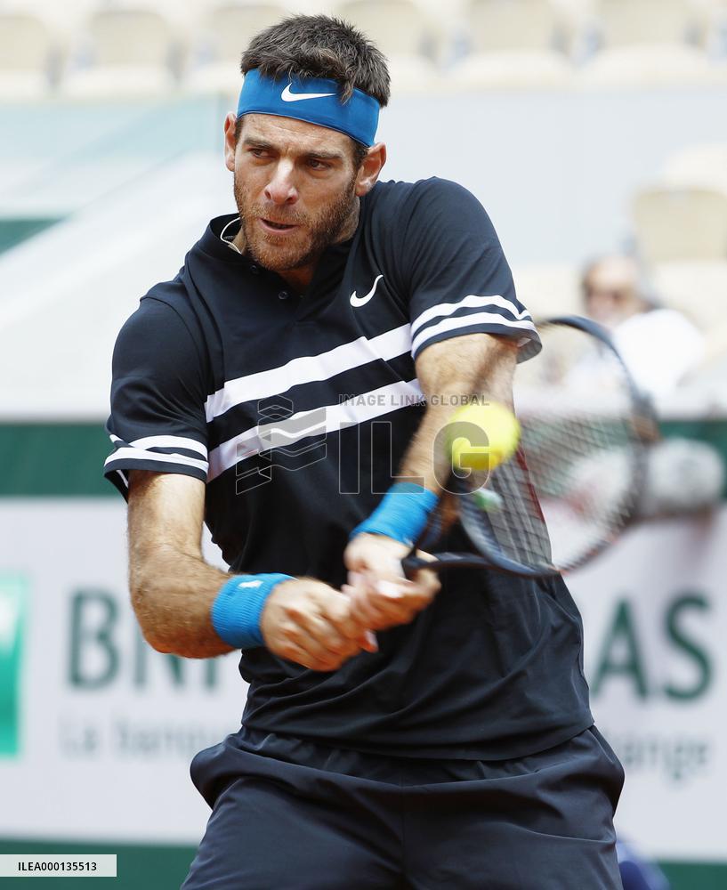 Tennis: Del Potro reaches French Open semifinals