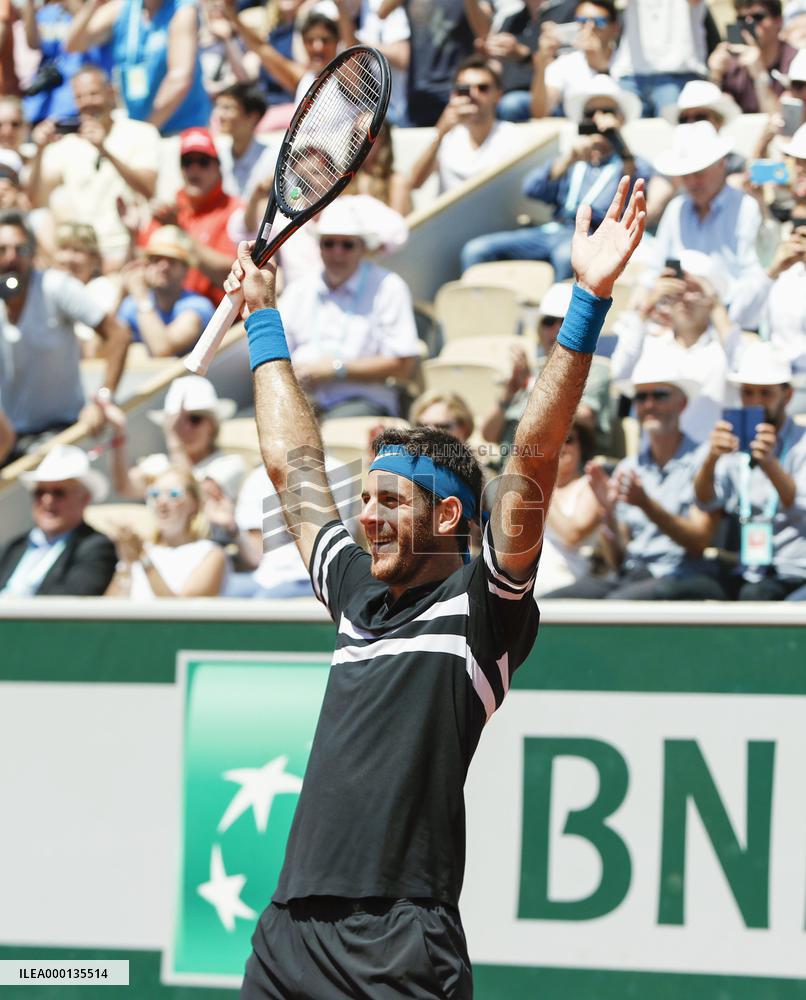 Tennis: Del Potro reaches French Open semifinals