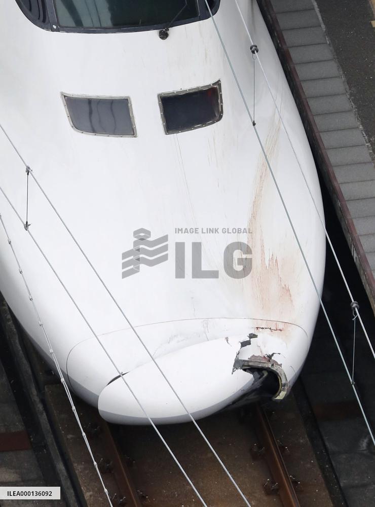Shinkansen bullet train kills man on tracks