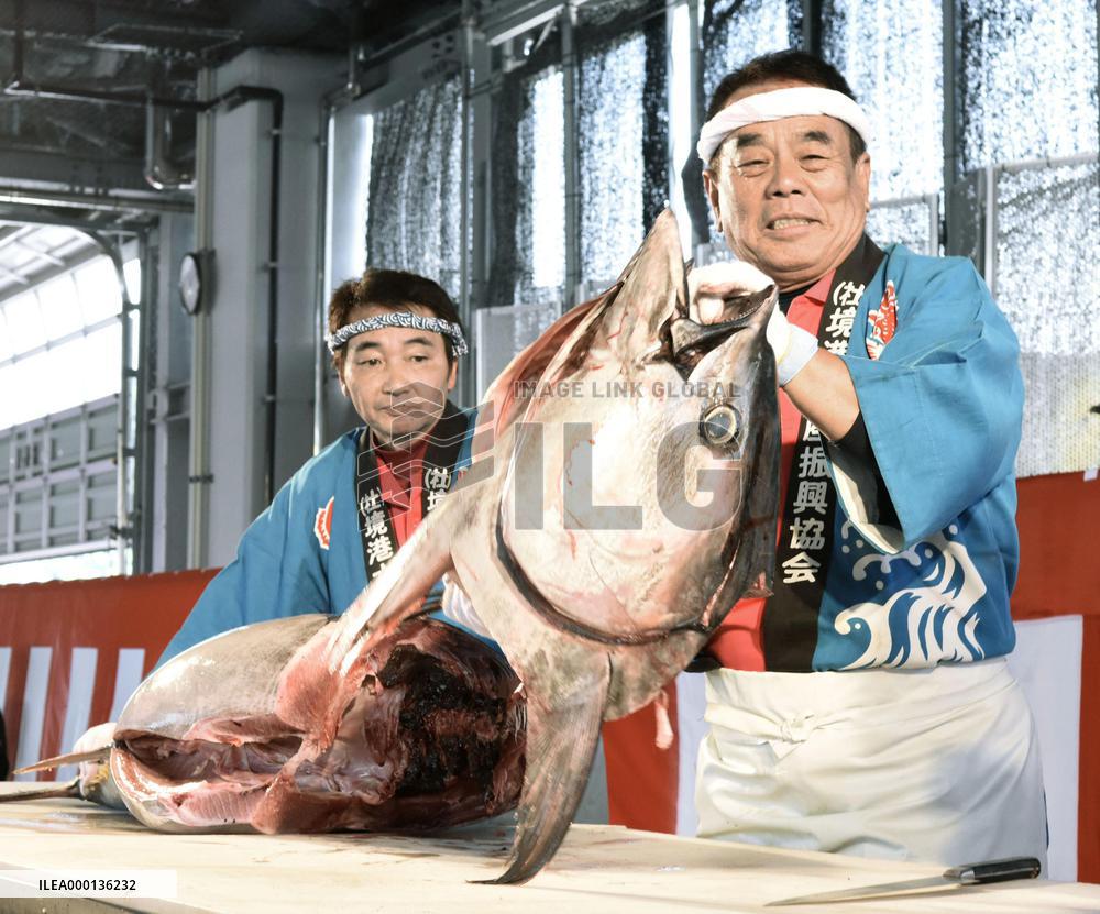 Tuna festival in Japan