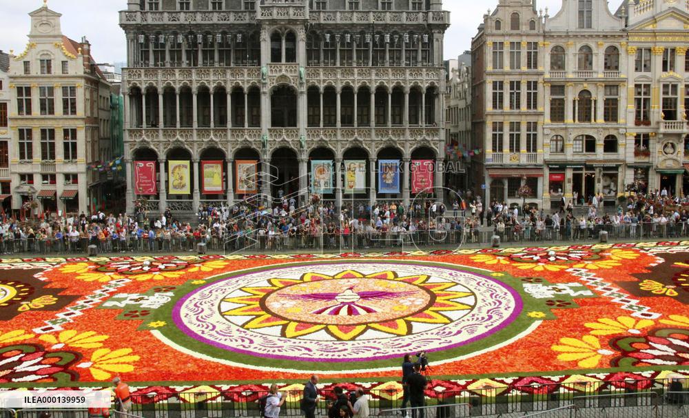 Brussels Flower Carpet