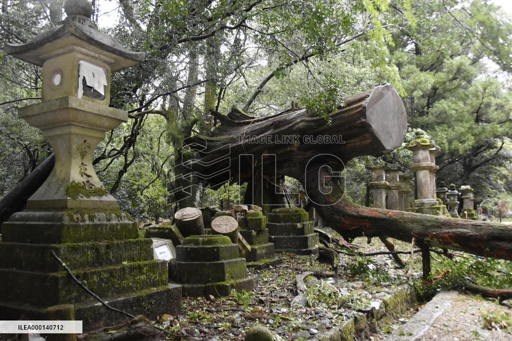 Powerful typhoon in western Japan