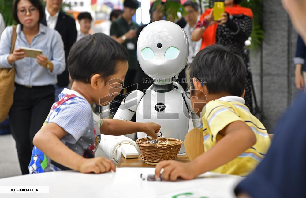 Avatar robot operated by disabled