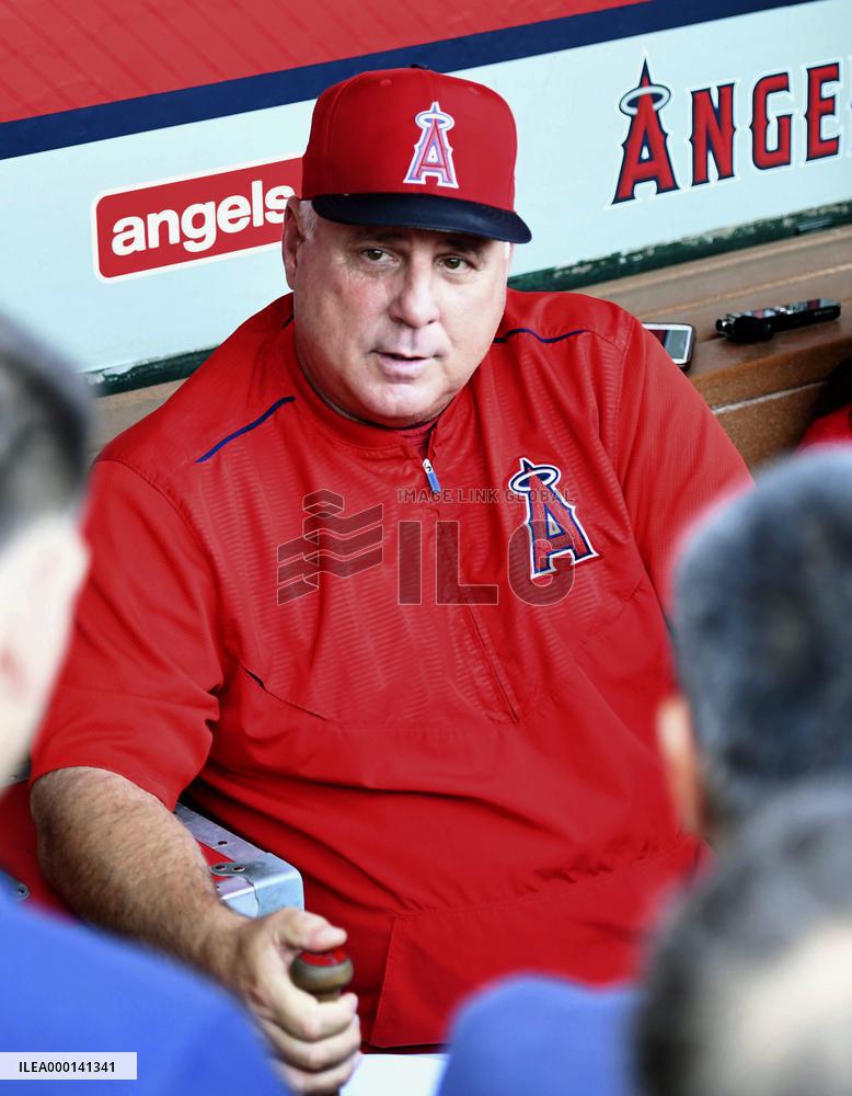 Baseball: Angels' manager Scioscia