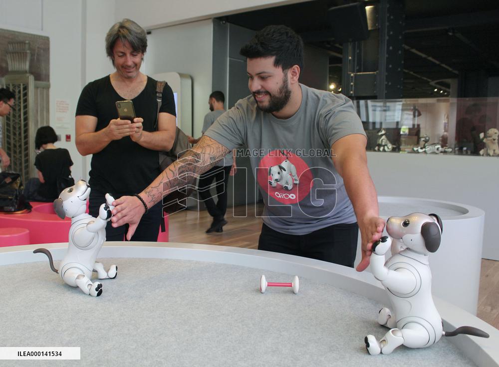 New version of Aibo robot dog