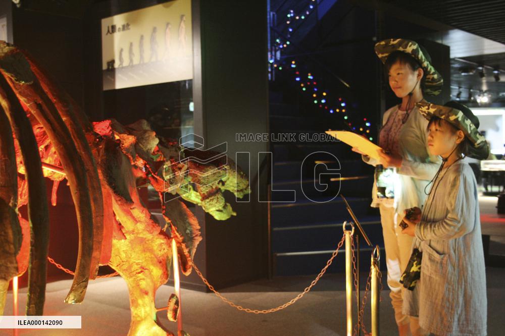 Night museum program in Japan