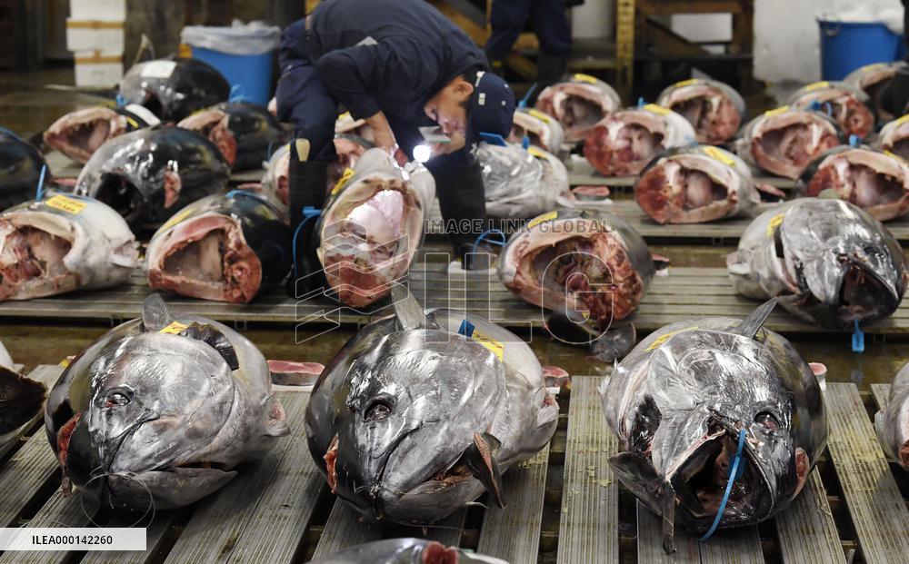 Tsukiji market scenes ahead of relocation