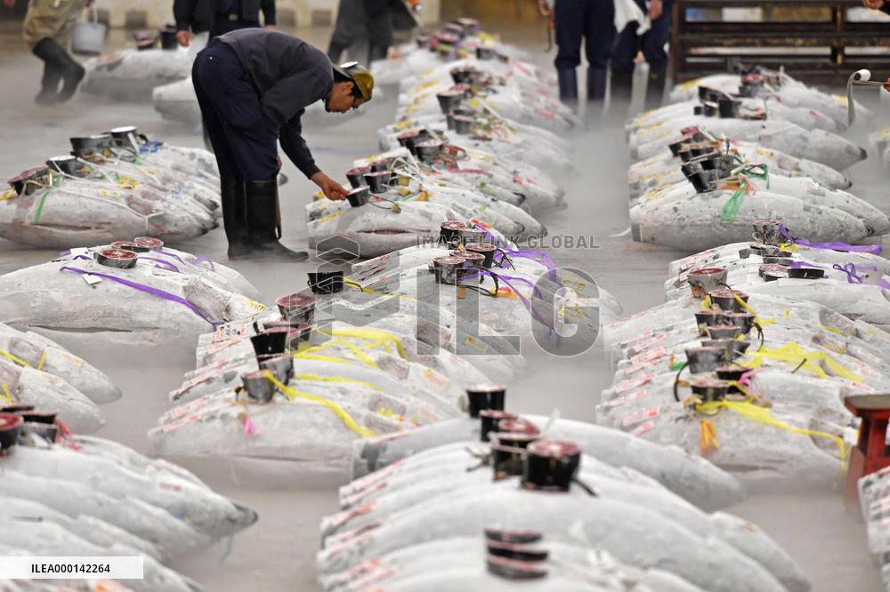 Tsukiji market scenes ahead of relocation