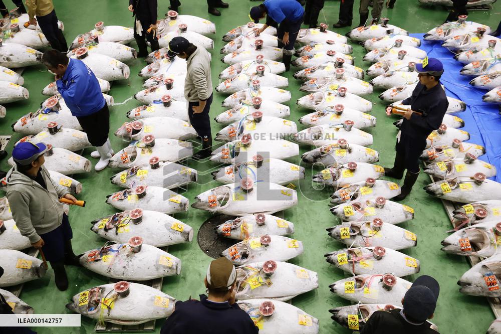 Opening of Toyosu fish market