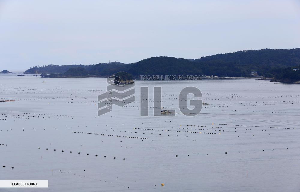 Shizugawa Bay in northeastern Japan