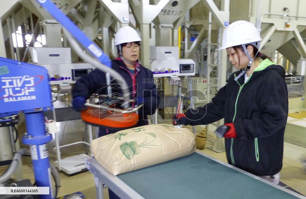 Fukushima rice