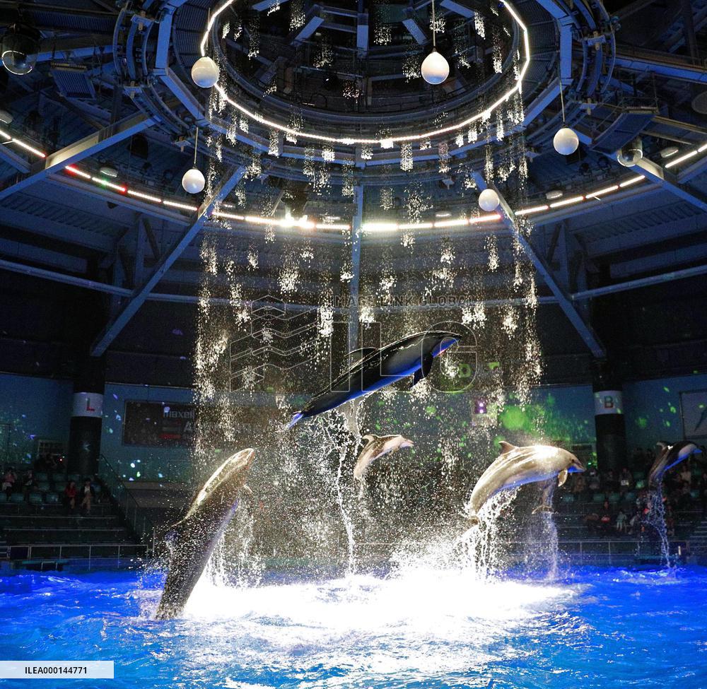 Dolphin show at Tokyo aquarium