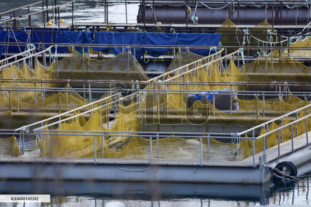 "Whale jail" in Russian Far East