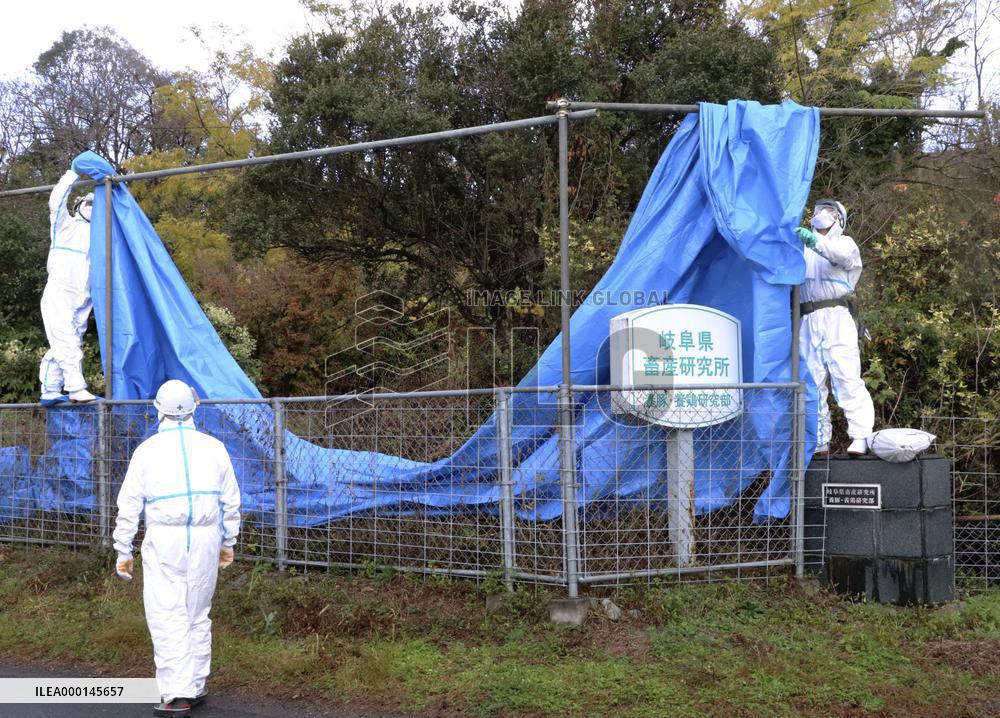 Outbreak of hog cholera in Japan