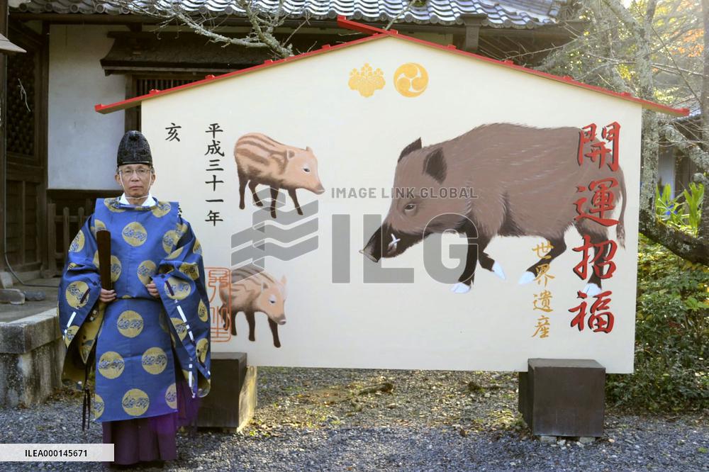 Year of Boar in 2019