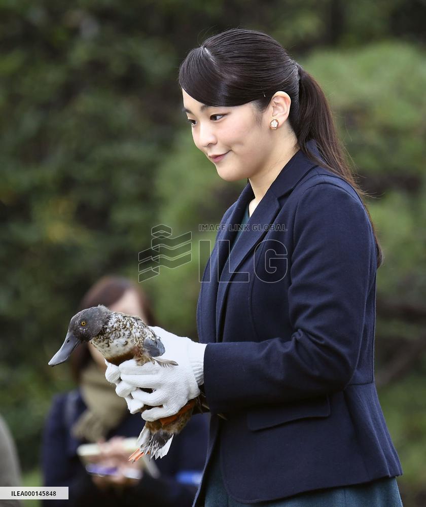 Princess Mako at Imperial Wild Duck Preserve
