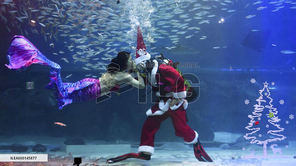Christmas show at Seoul aquarium