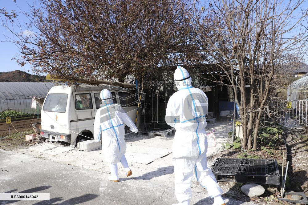 Hog cholera infection in central Japan