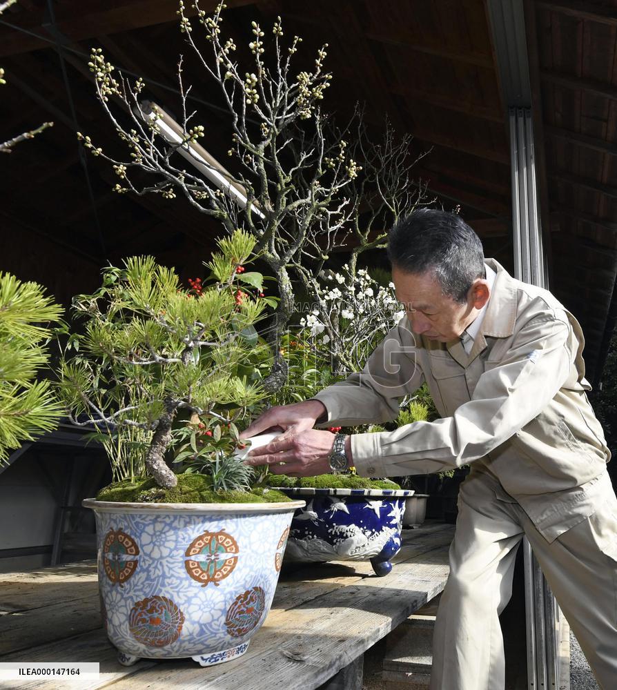 New Year preparations at Imperial Palace