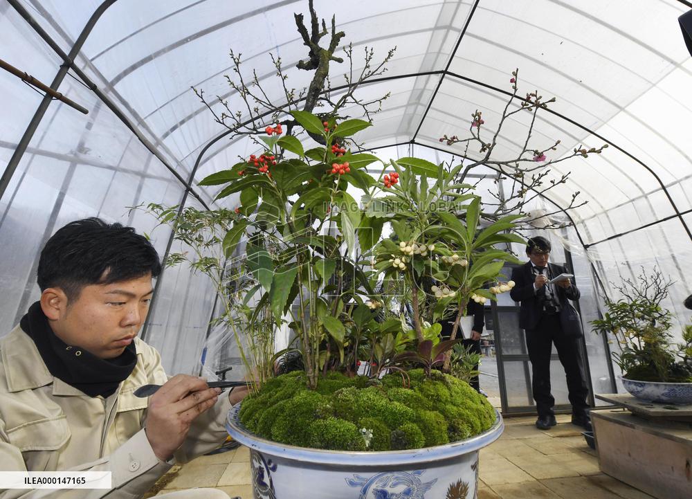 New Year preparations at Imperial Palace