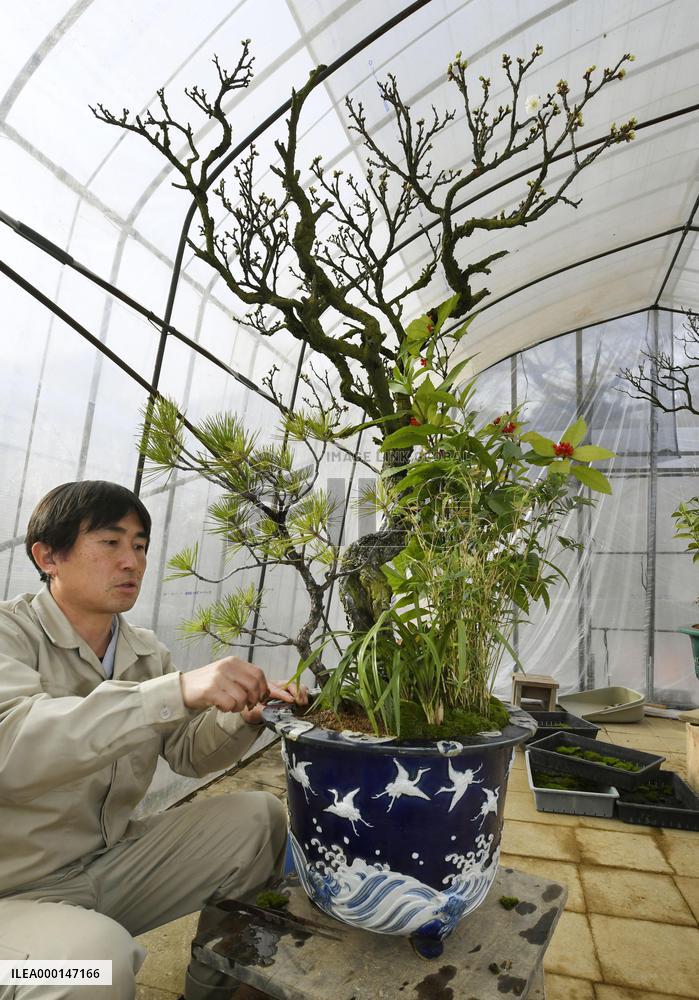 New Year preparations at Imperial Palace