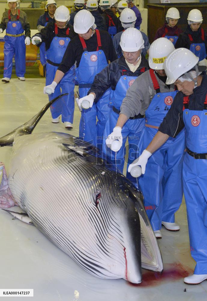 Research whaling in northeastern Japan