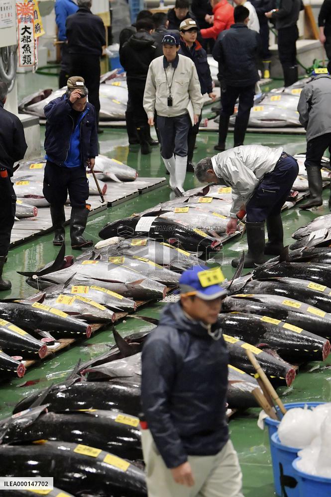 Tuna auction in Tokyo