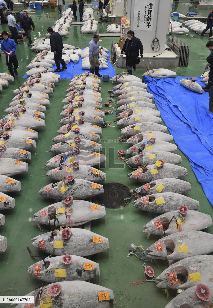 Tuna auction in Tokyo