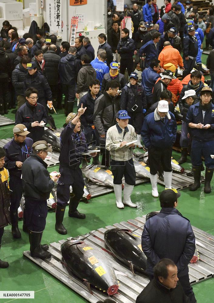 Tuna auction in Tokyo