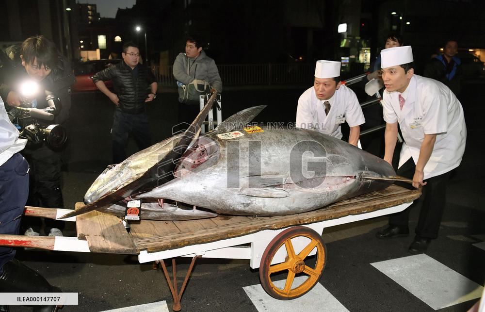 Tuna auction in Tokyo
