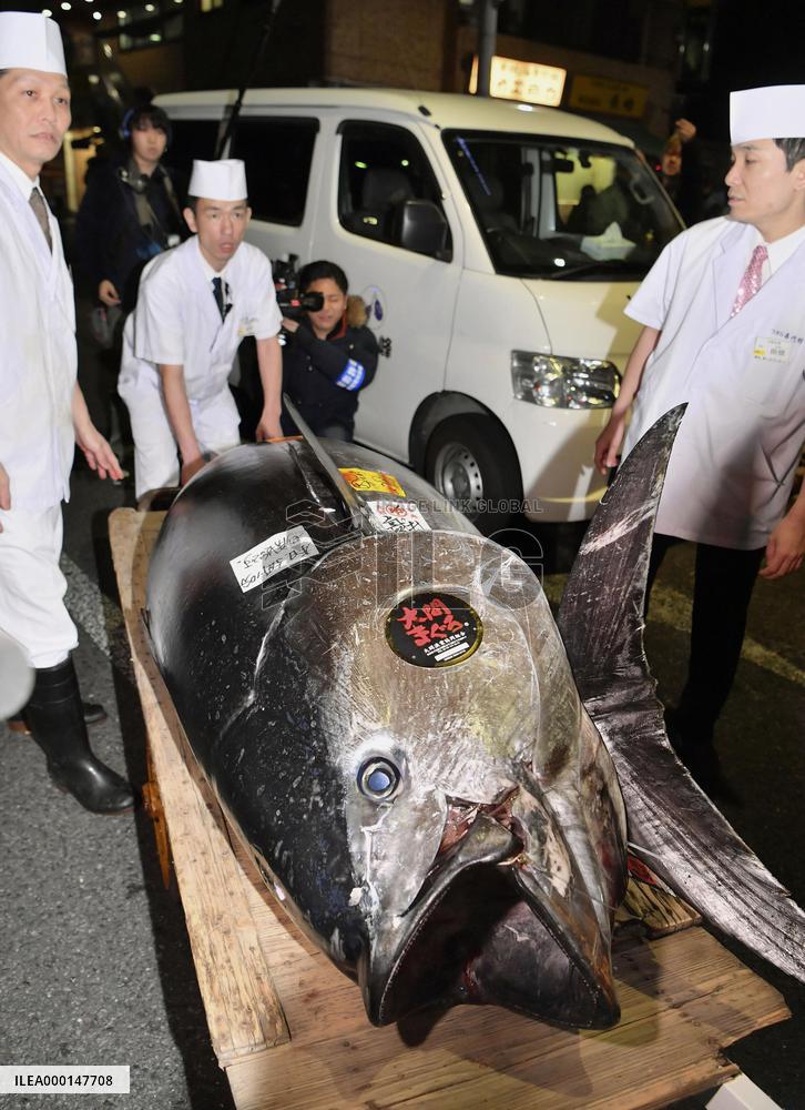 Tuna auction in Tokyo