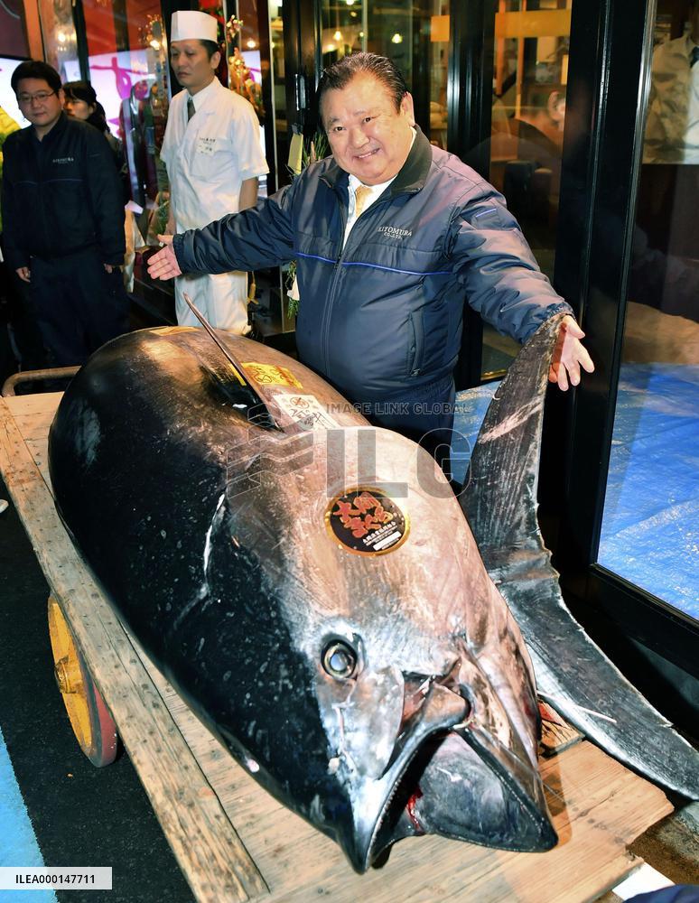 Tuna auction in Tokyo