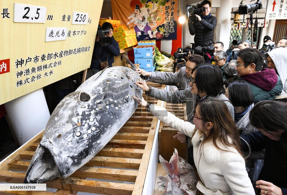 Coins pressed on tuna for good luck in western Japan
