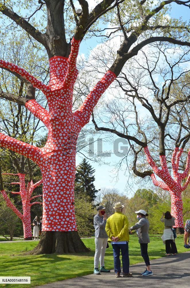 Yayoi Kusama exhibition in New York