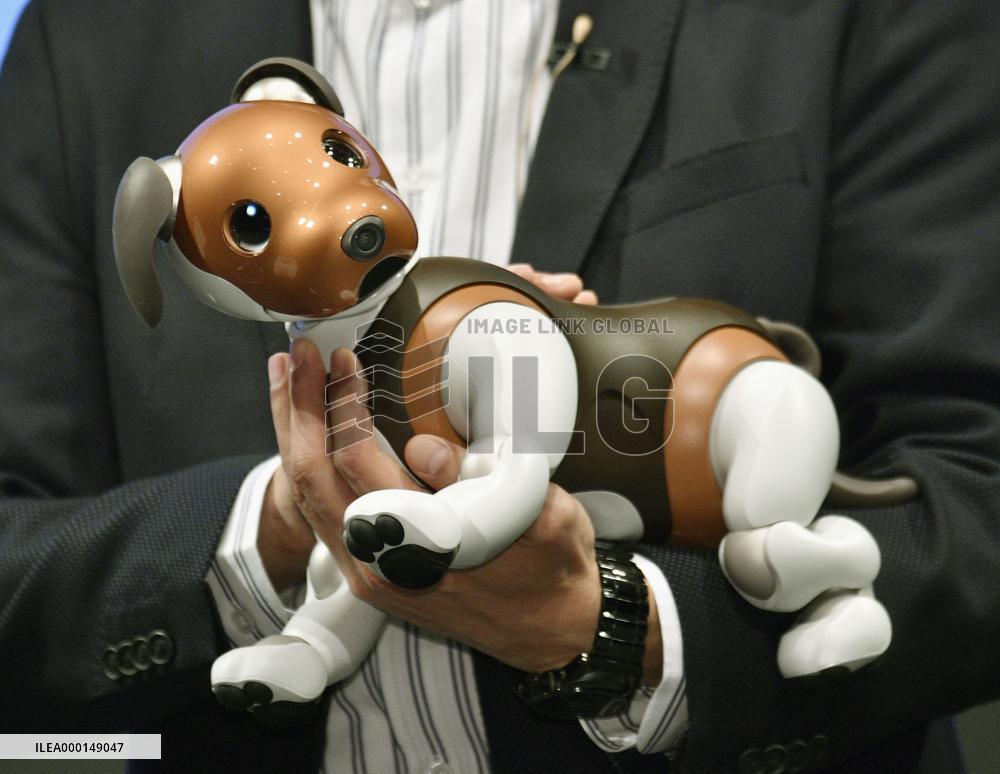 Aibo dog robot monitoring service