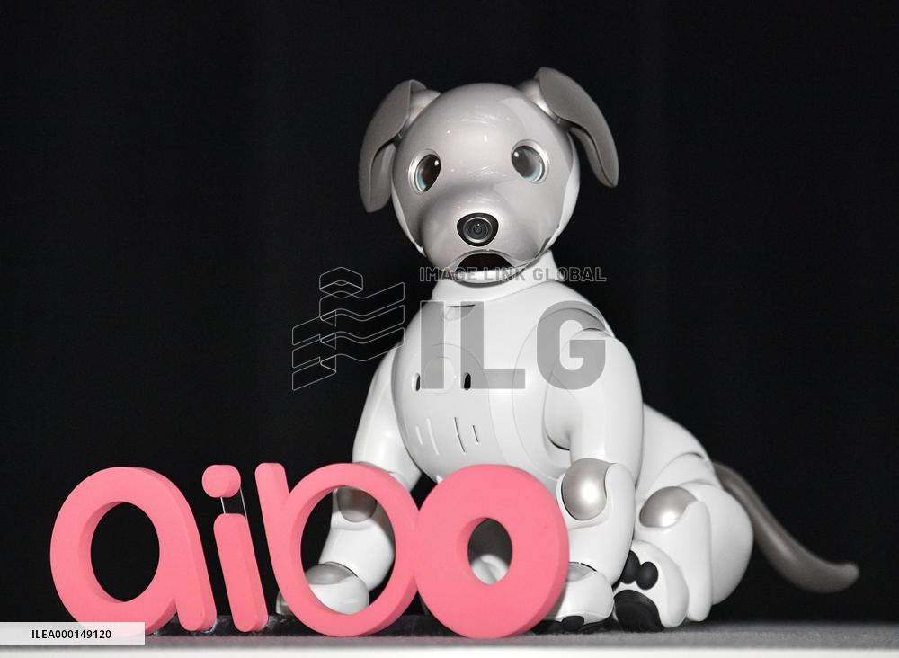Aibo robot dog