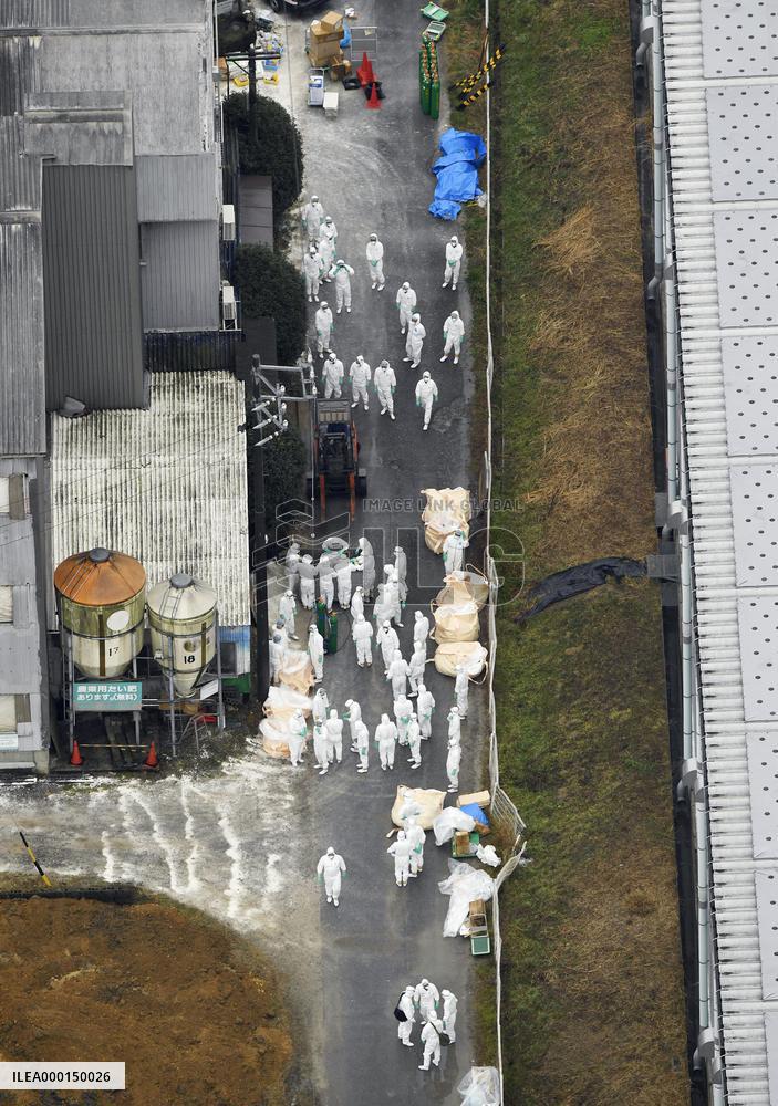 Hog cholera infection in central Japan