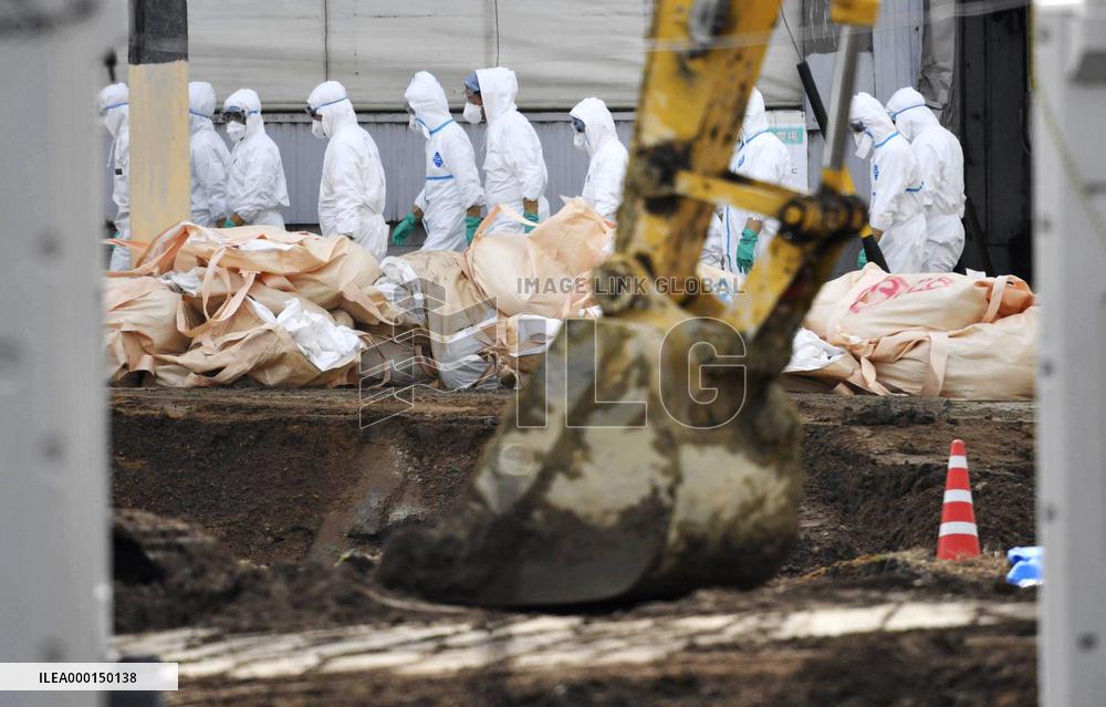 Hog cholera infection in central Japan