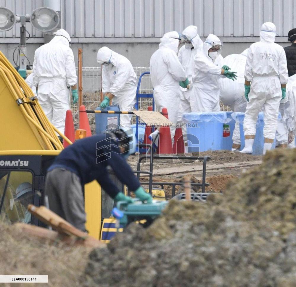 Hog cholera infection in central Japan