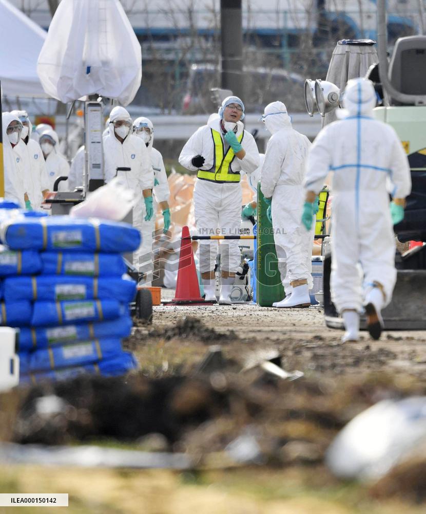 Hog cholera infection in central Japan