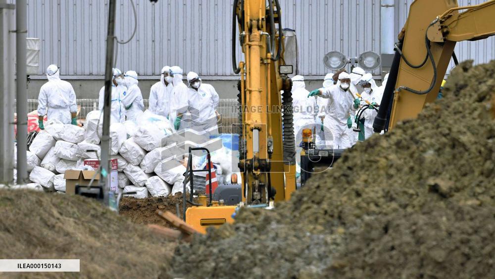 Hog cholera infection in central Japan