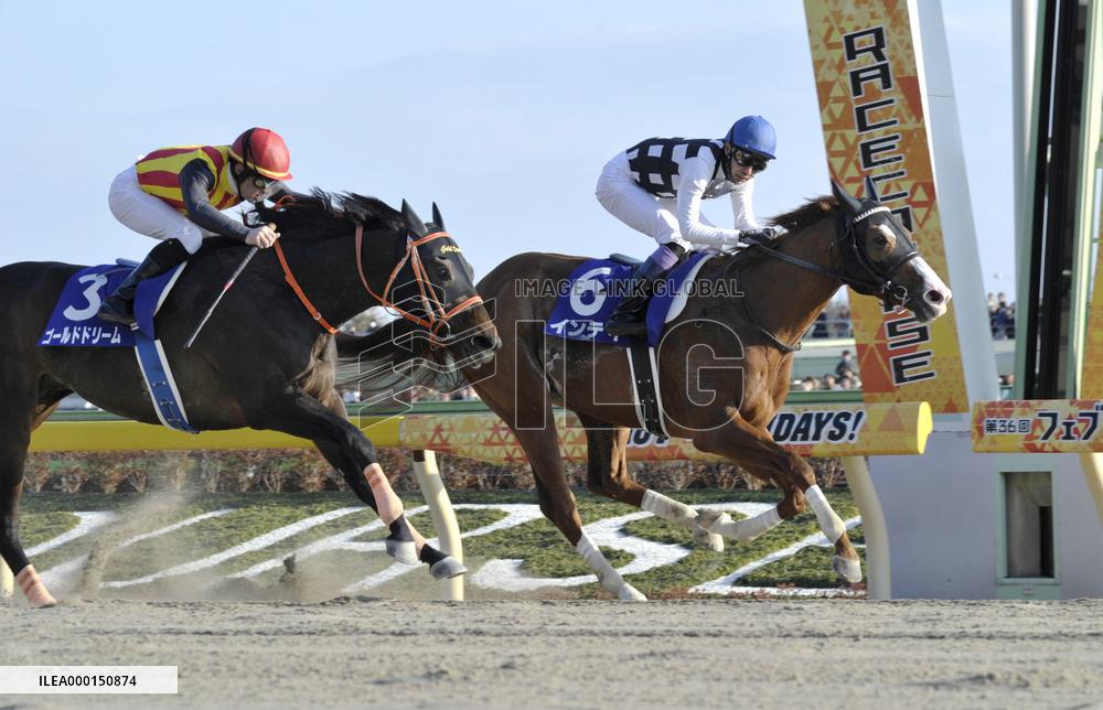 Horse racing: February Stakes in Japan