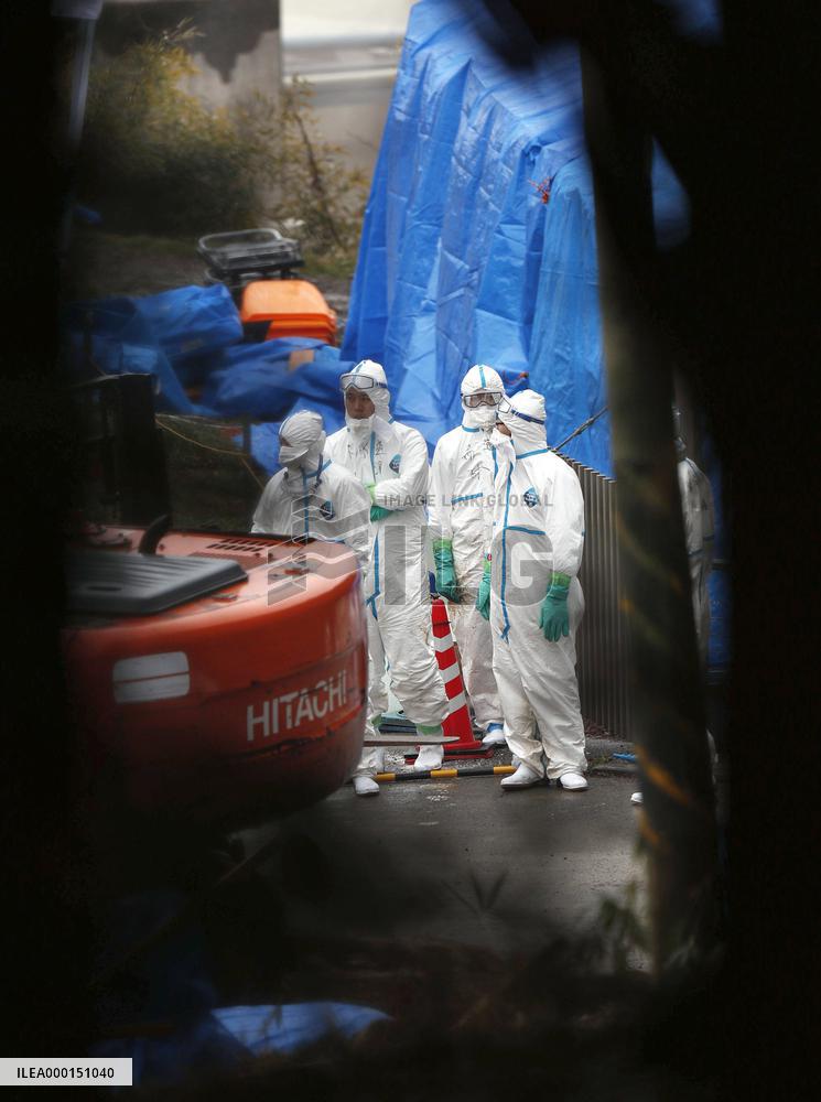 Hog cholera infection in central Japan