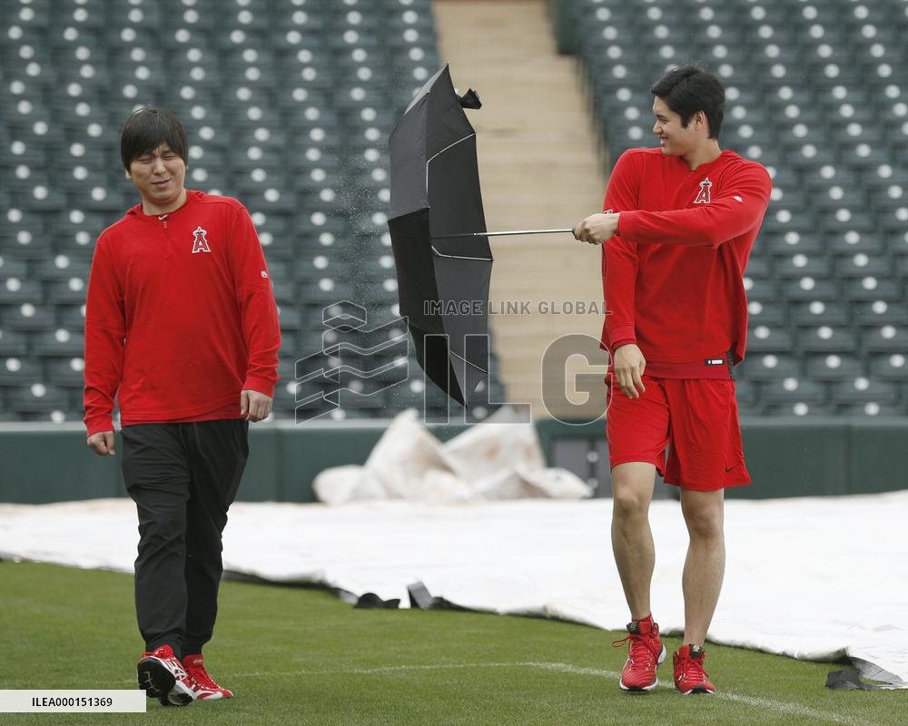 Baseball: Angels' Ohtani at spring training