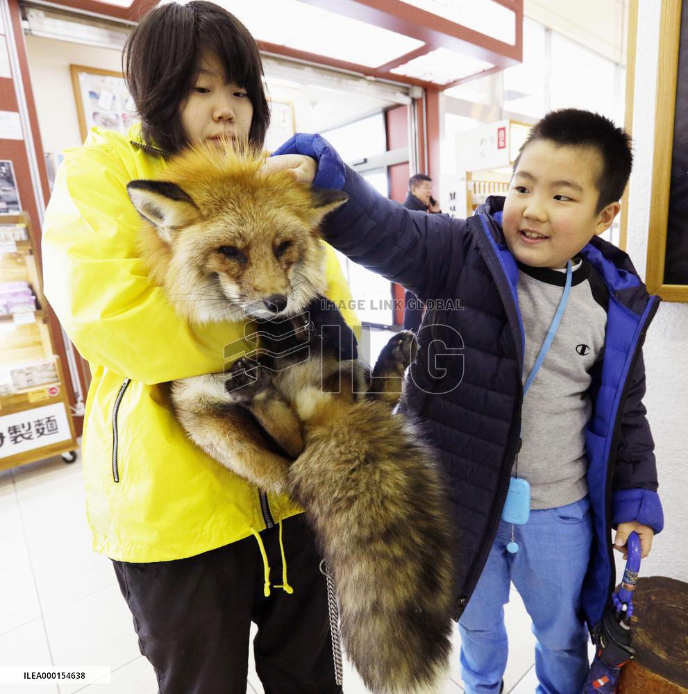 Fox as train station master