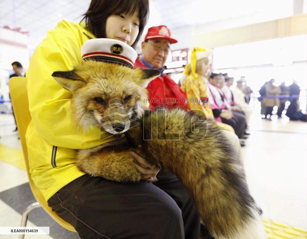 Fox as train station master